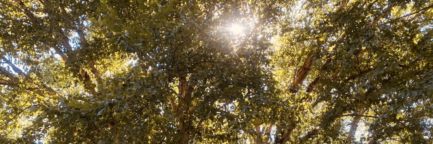 Kendra_Iven's profile banner image