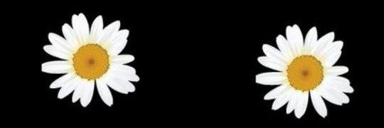 AlexandraaGr_'s profile banner image