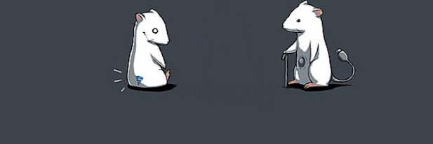 Reid_nft's profile banner image