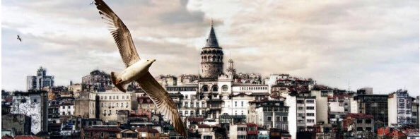 ilkercoskunsoy's profile banner image