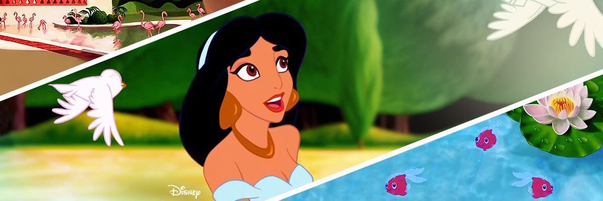 Helaina Rose Morgan banner