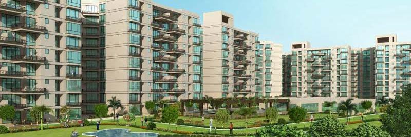Wallfort_Group's profile banner image