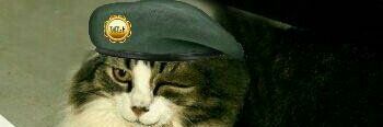 cathound7's profile banner image