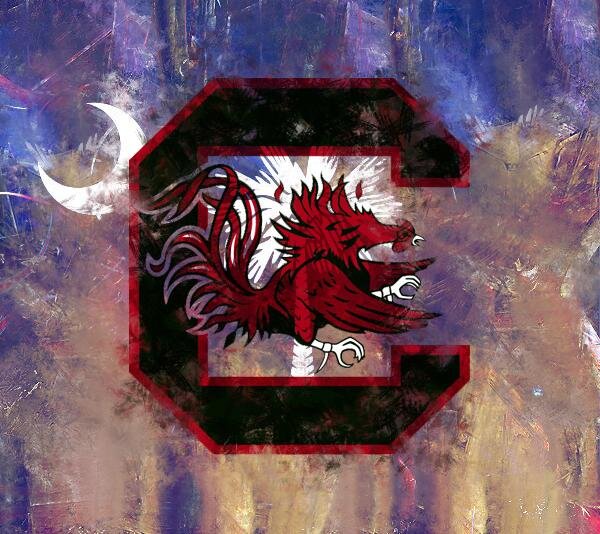 USCshannon's profile banner image