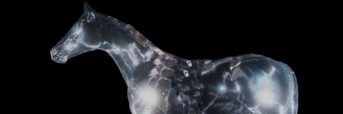 juneberg's profile banner image