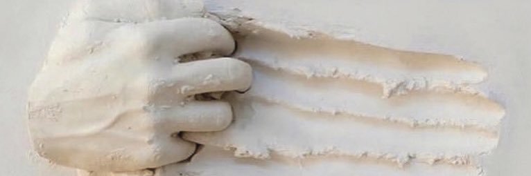 Suzanne Frischkorn banner