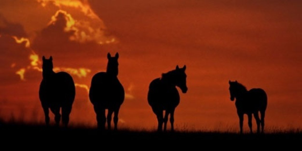 A999876's profile banner image