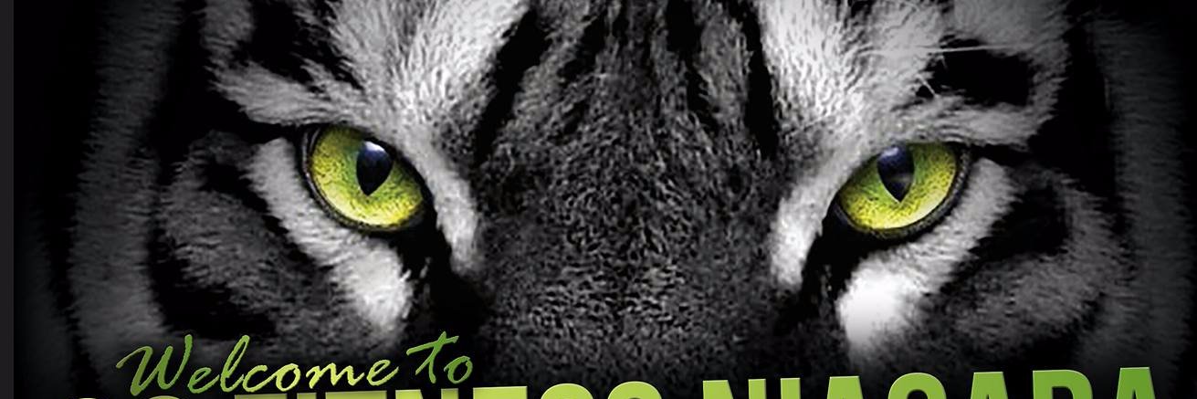 GoFitnessNF's profile banner image