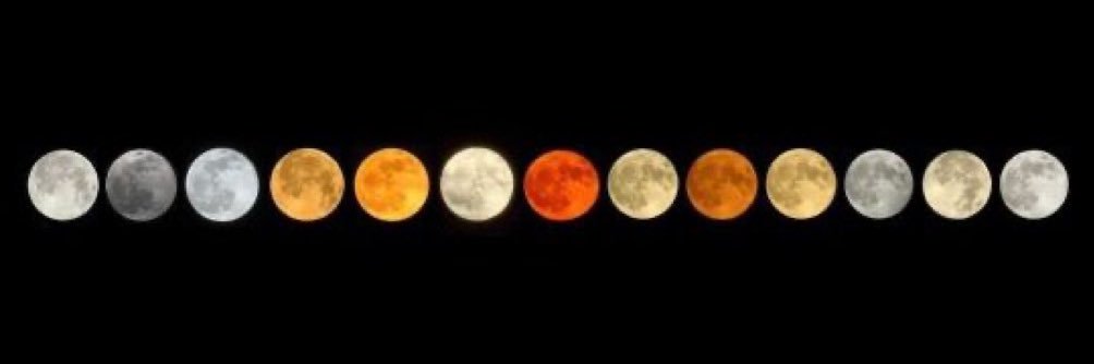 btzdny's profile banner image