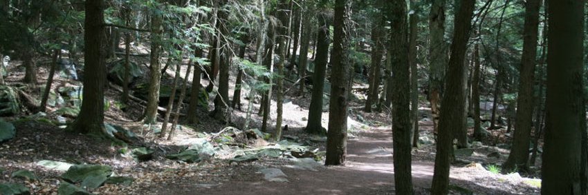 BonnieBoden's profile banner image