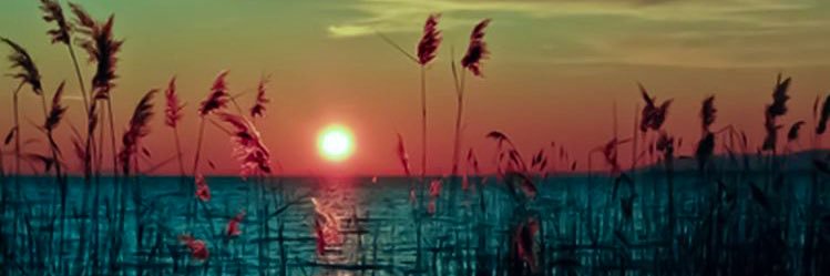 aliarishi83's profile banner image