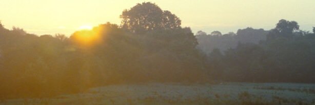 abbiebrown860's profile banner image