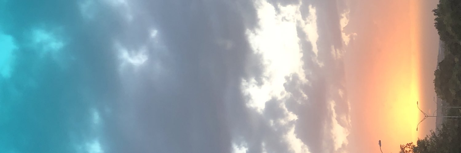 kinselise's profile banner image