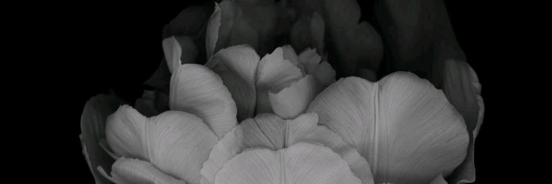 17k_18's profile banner image