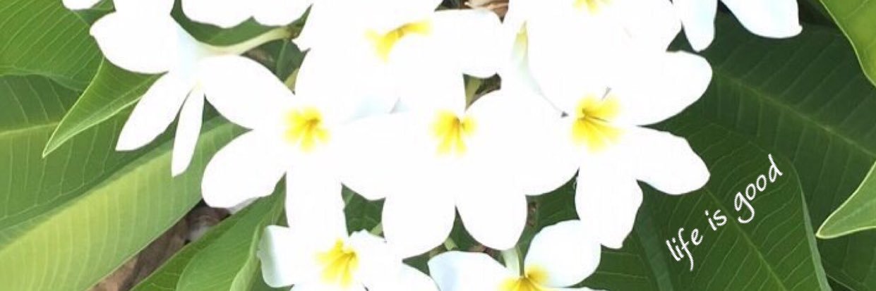 miiapiia_'s profile banner image