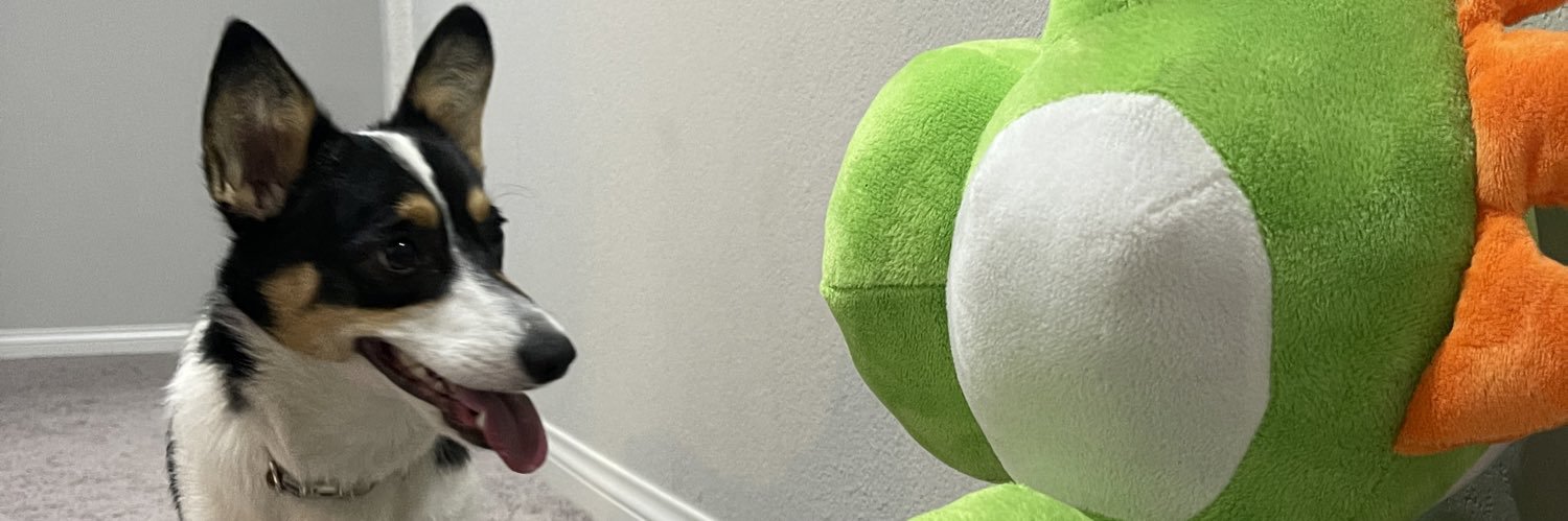 rinthecorgi's profile banner image