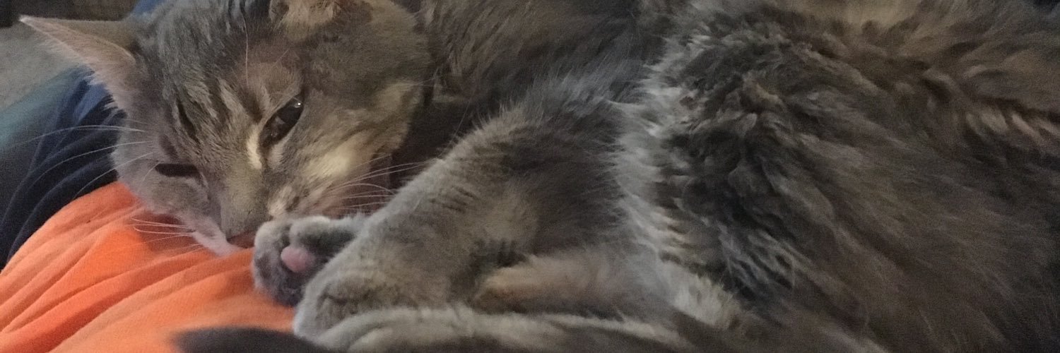 evtwotak's profile banner image
