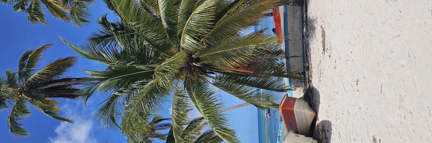 rxmarianaaa's profile banner image
