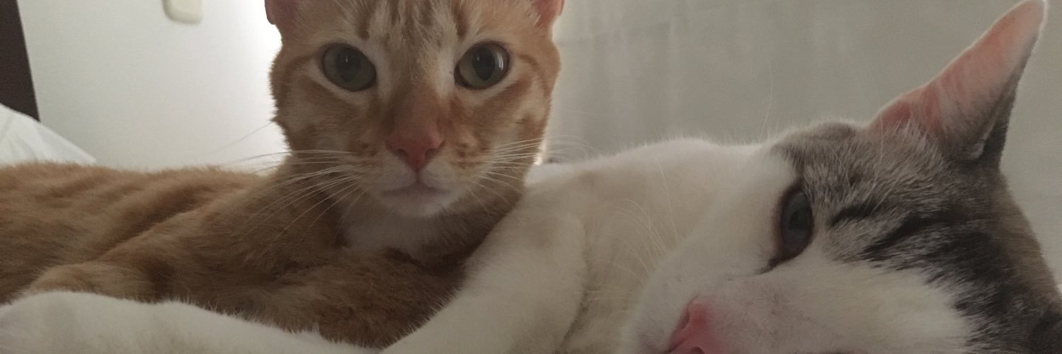 AngieMmp's profile banner image