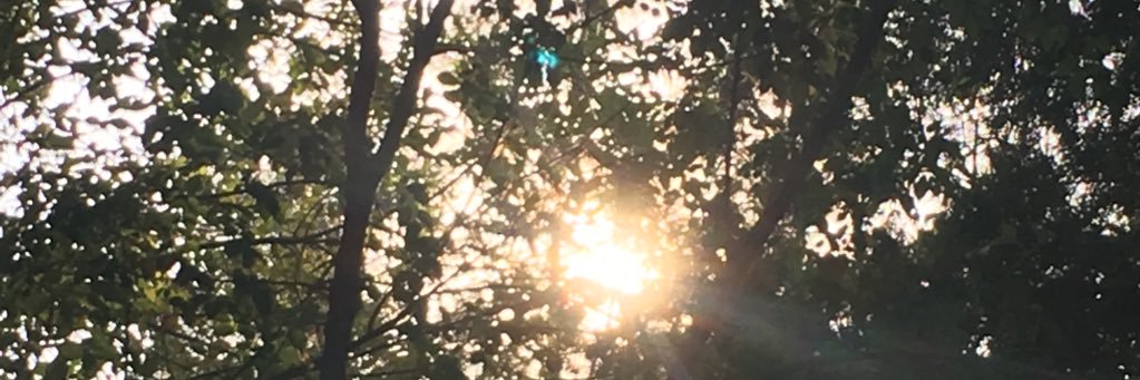 maag6126's profile banner image