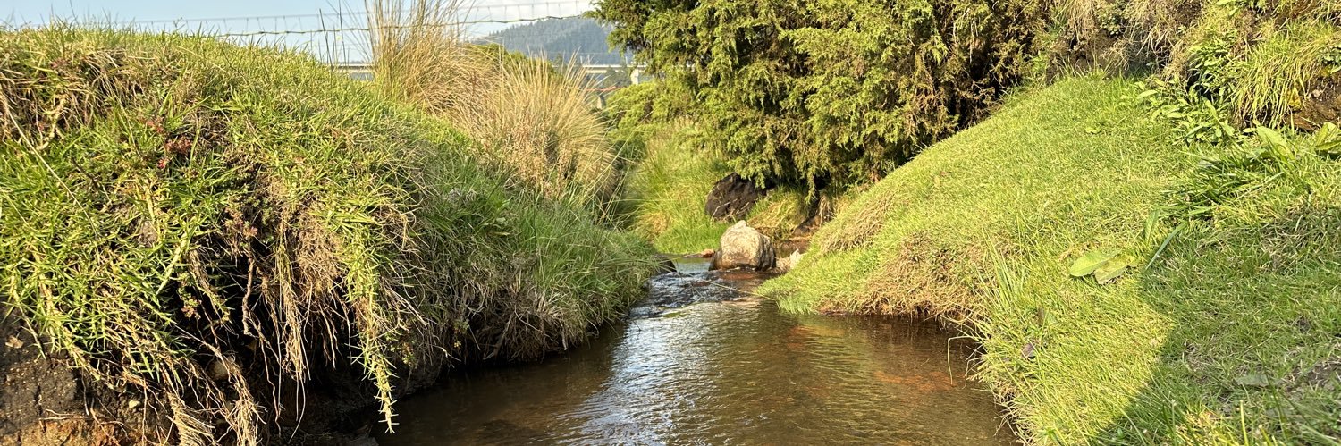 Netrón® 🤖👽🦖🛸 banner