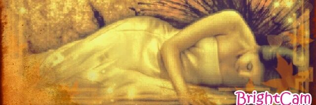 AmberLynnGriff2's profile banner image