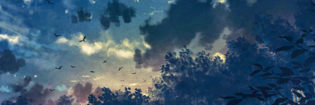 mtSooo's profile banner image