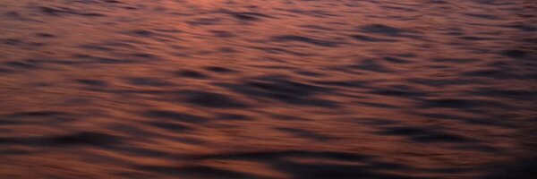maxi Profile Banner