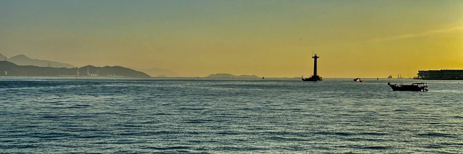 Ann Lopez-Toyoh banner