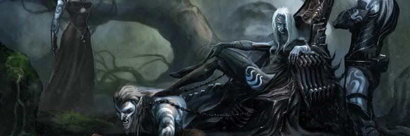 Ryan Schindler banner