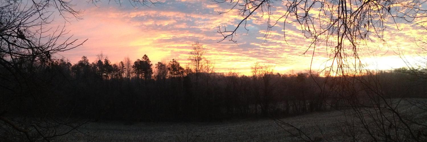 g_n_8's profile banner image