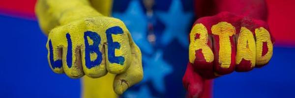 Gustavo banner