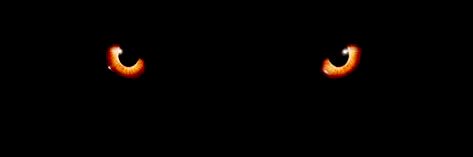 samsonbolvis's profile banner image