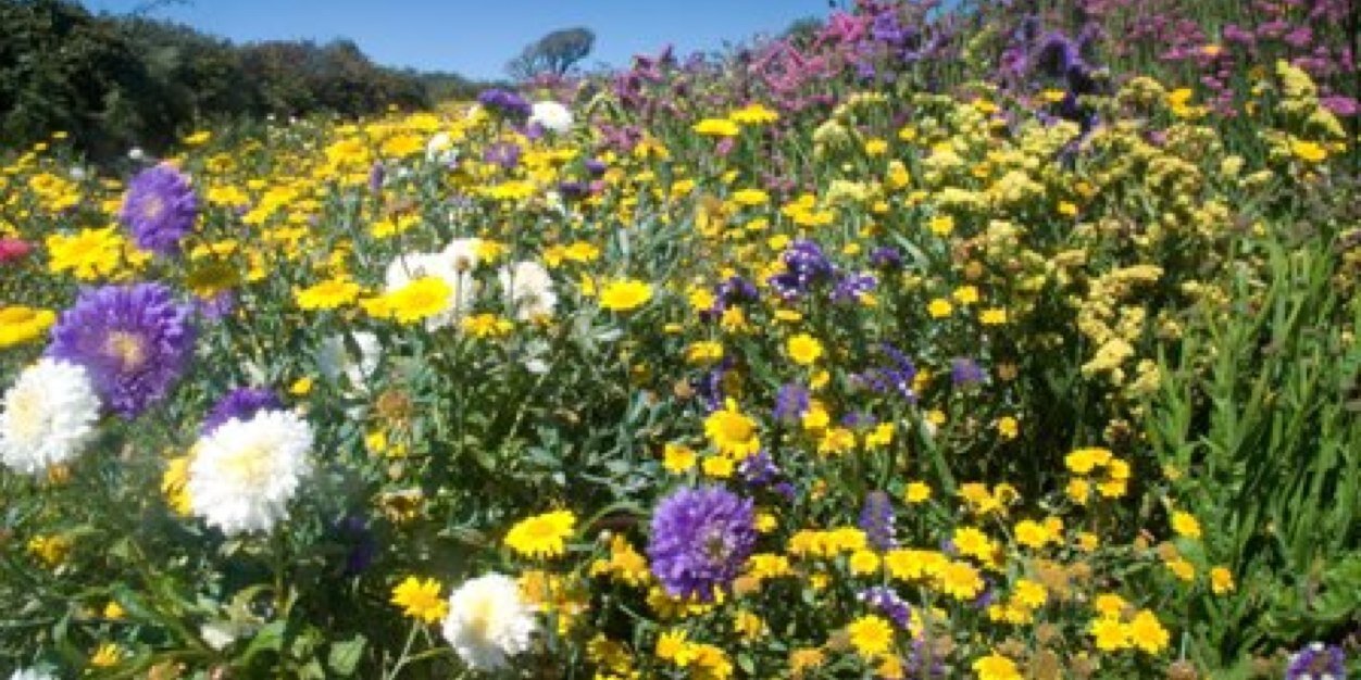 Kath Hopcroft🇺🇦 banner