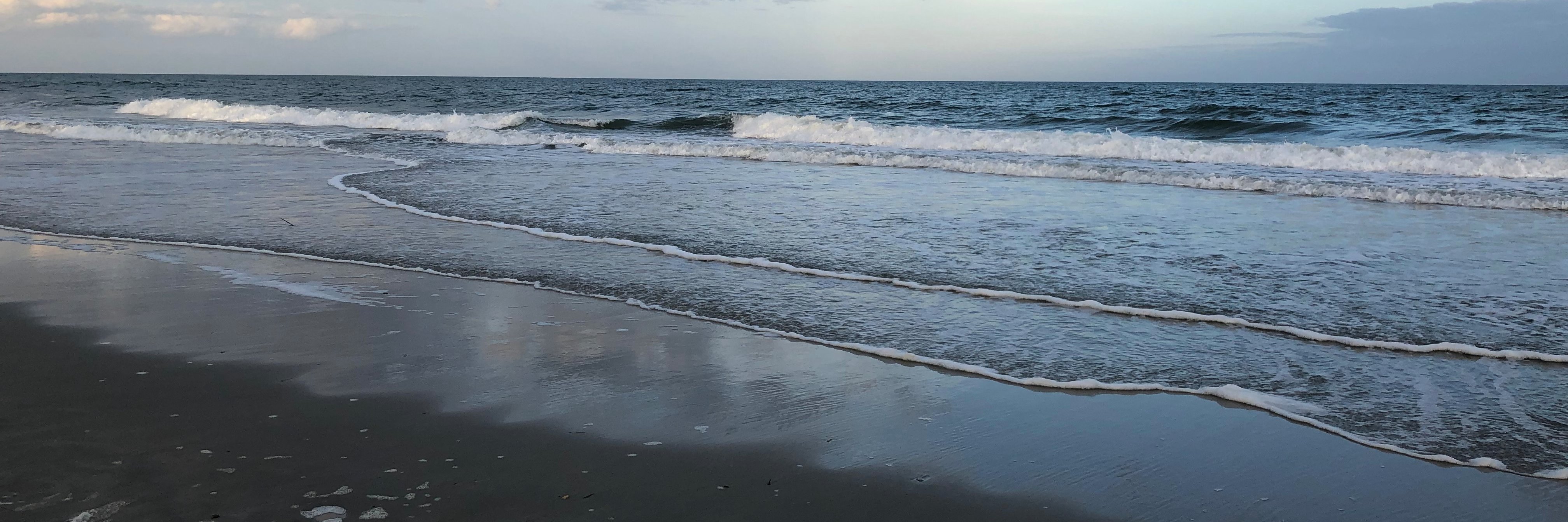 vowellp's profile banner image