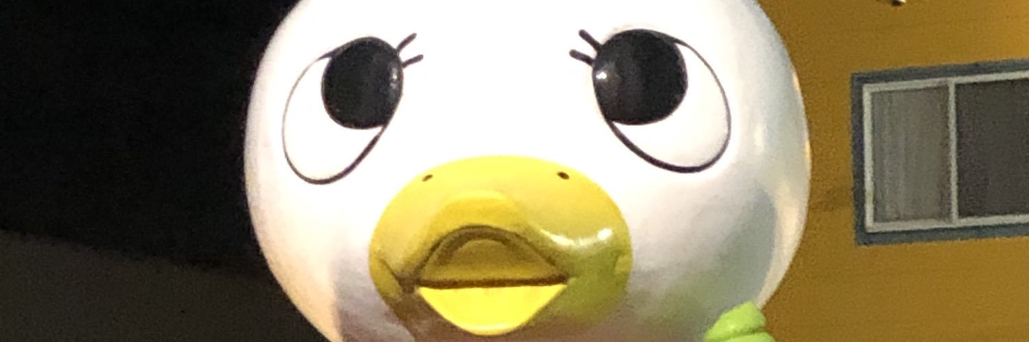 erocoeroo's profile banner image