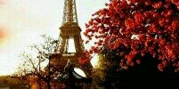 soniaolid1's profile banner image