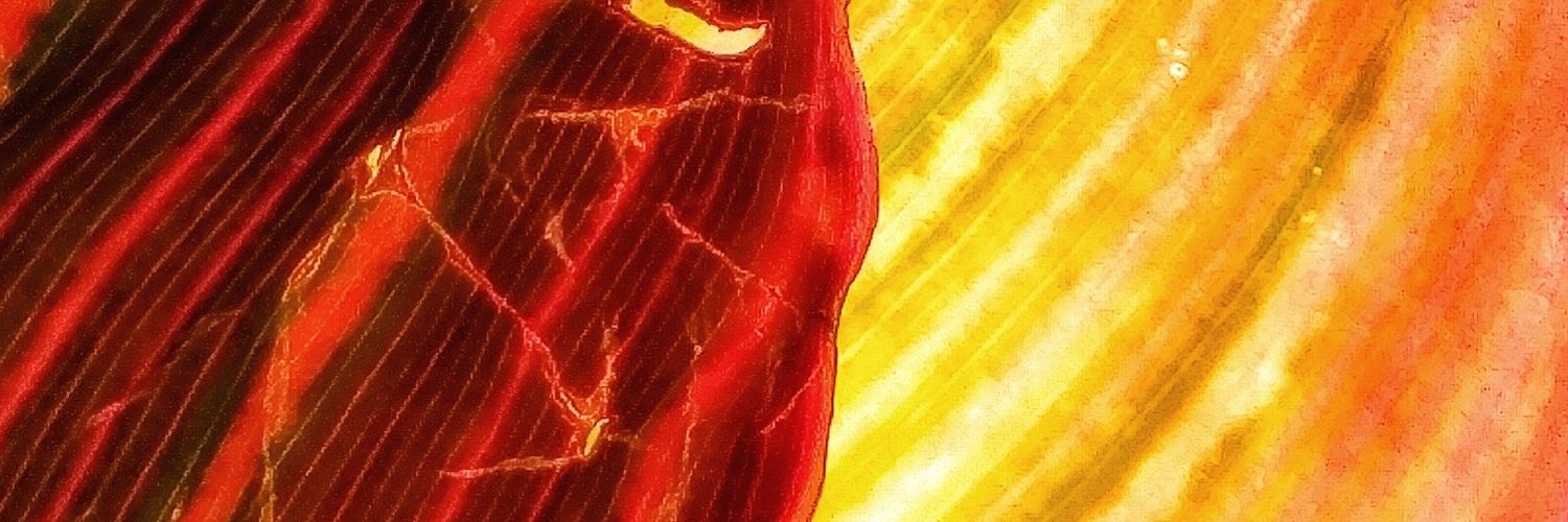 JuanMithPablo's profile banner image