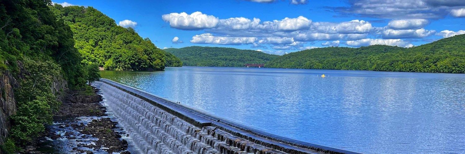 Lauren Basselini banner