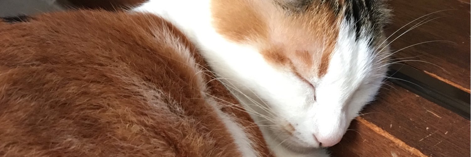 polon1107's profile banner image