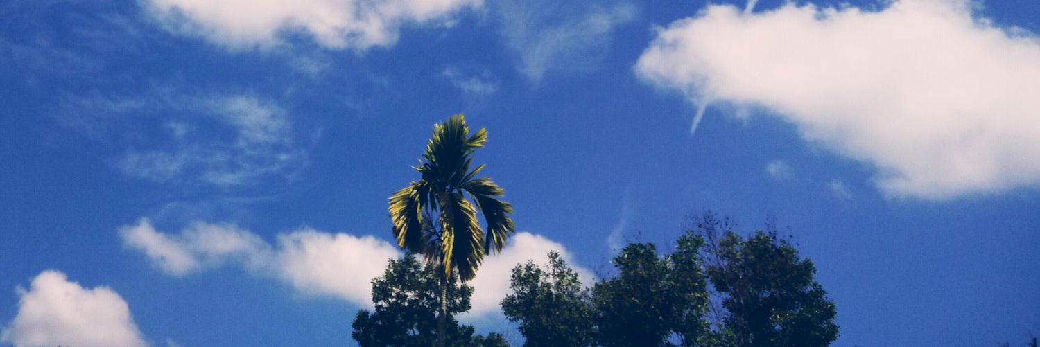 AfiAsnawi's profile banner image