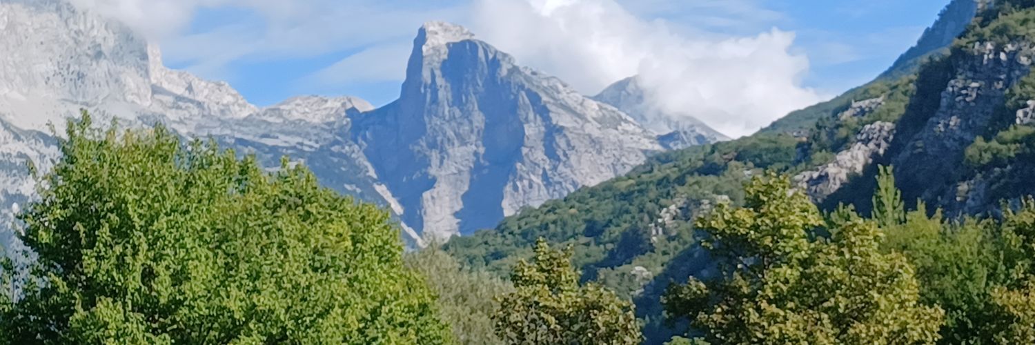 Claireflo's profile banner image