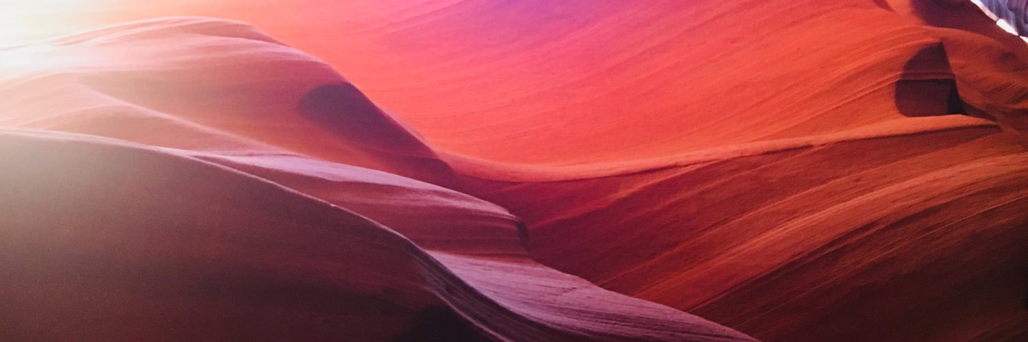 CeleryMane's profile banner image