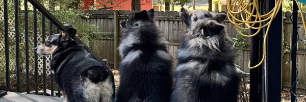 loren Profile Banner