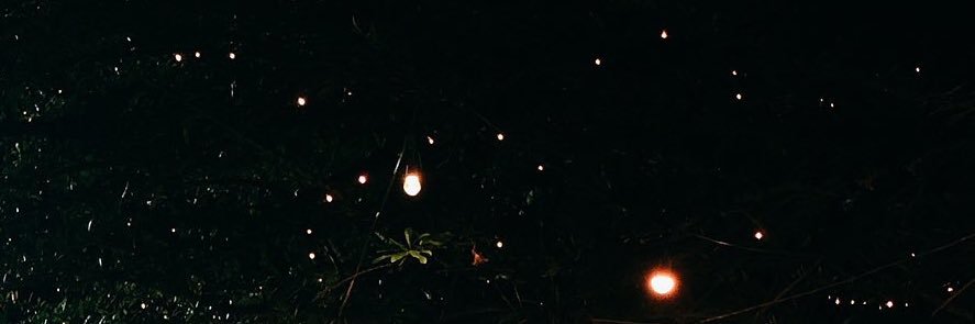 eeerdun's profile banner image