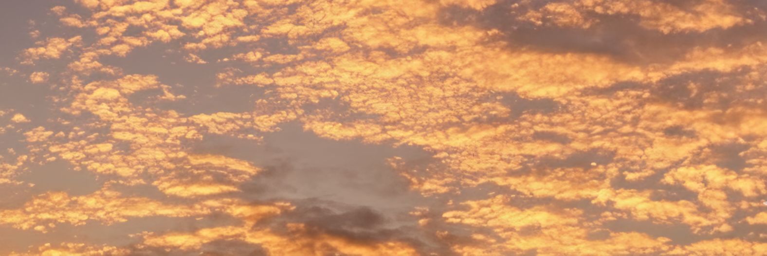 tinmar17's profile banner image
