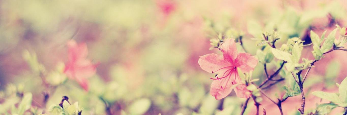 Yetty_eti's profile banner image
