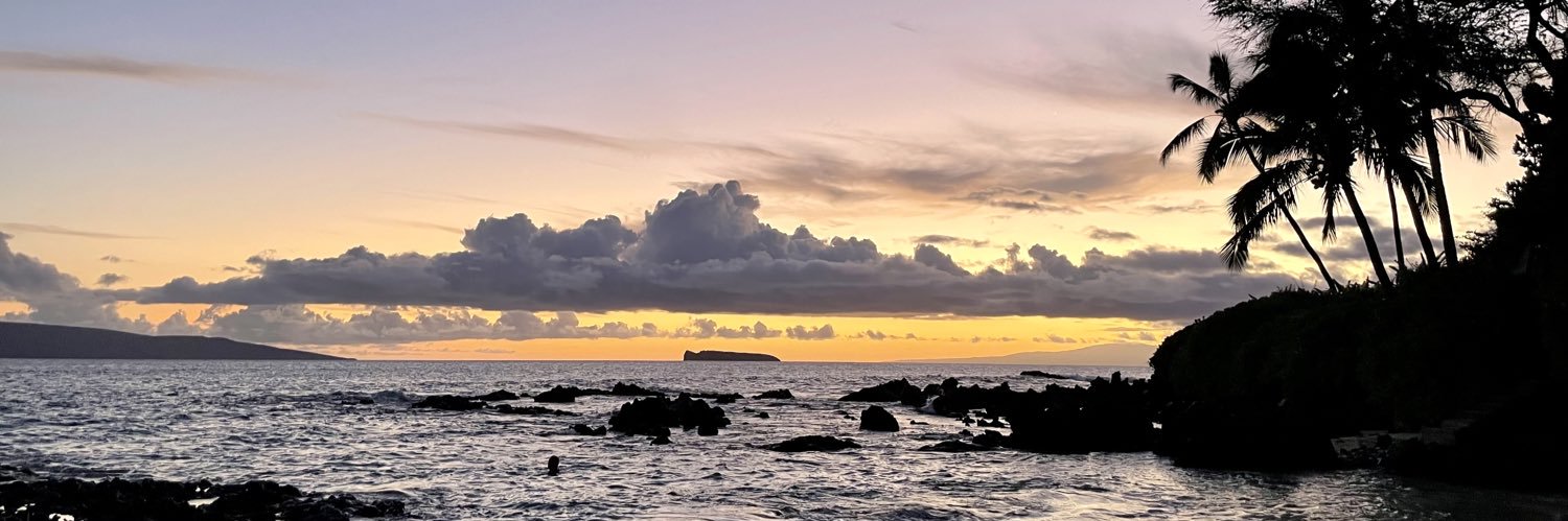 sandi_luu's profile banner image