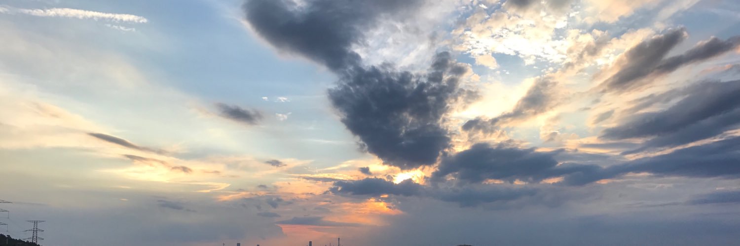 AliWhiteside's profile banner image