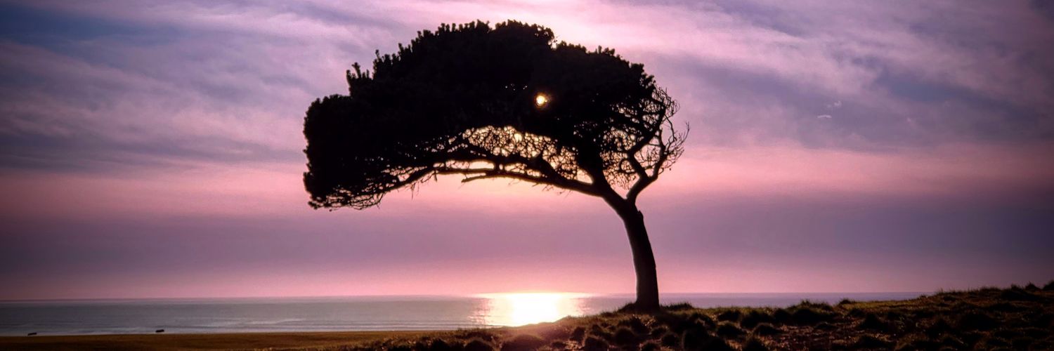 JordanWPeterson's profile banner image